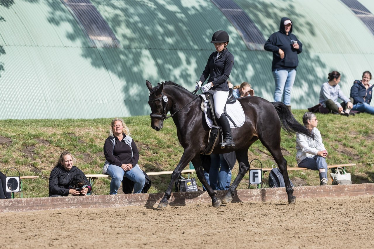 Bild 295 - Pony Akademie Turnier